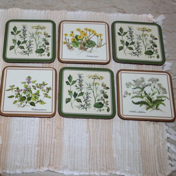 Pimpernel Dining Vtg Pimpernel Acrylic 6 Botanica Traditional